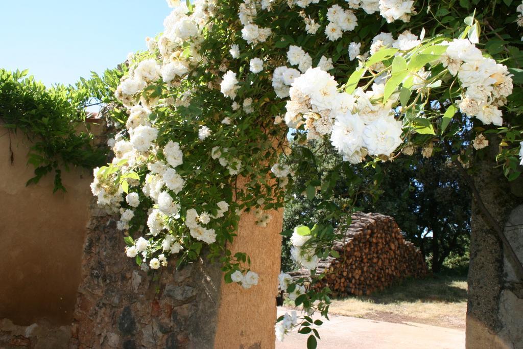 Domaine De La Blaque - B&B Varages Экстерьер фото